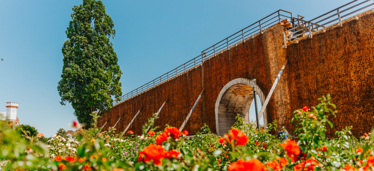 Bad Salzuflen Mauer mit Blumen